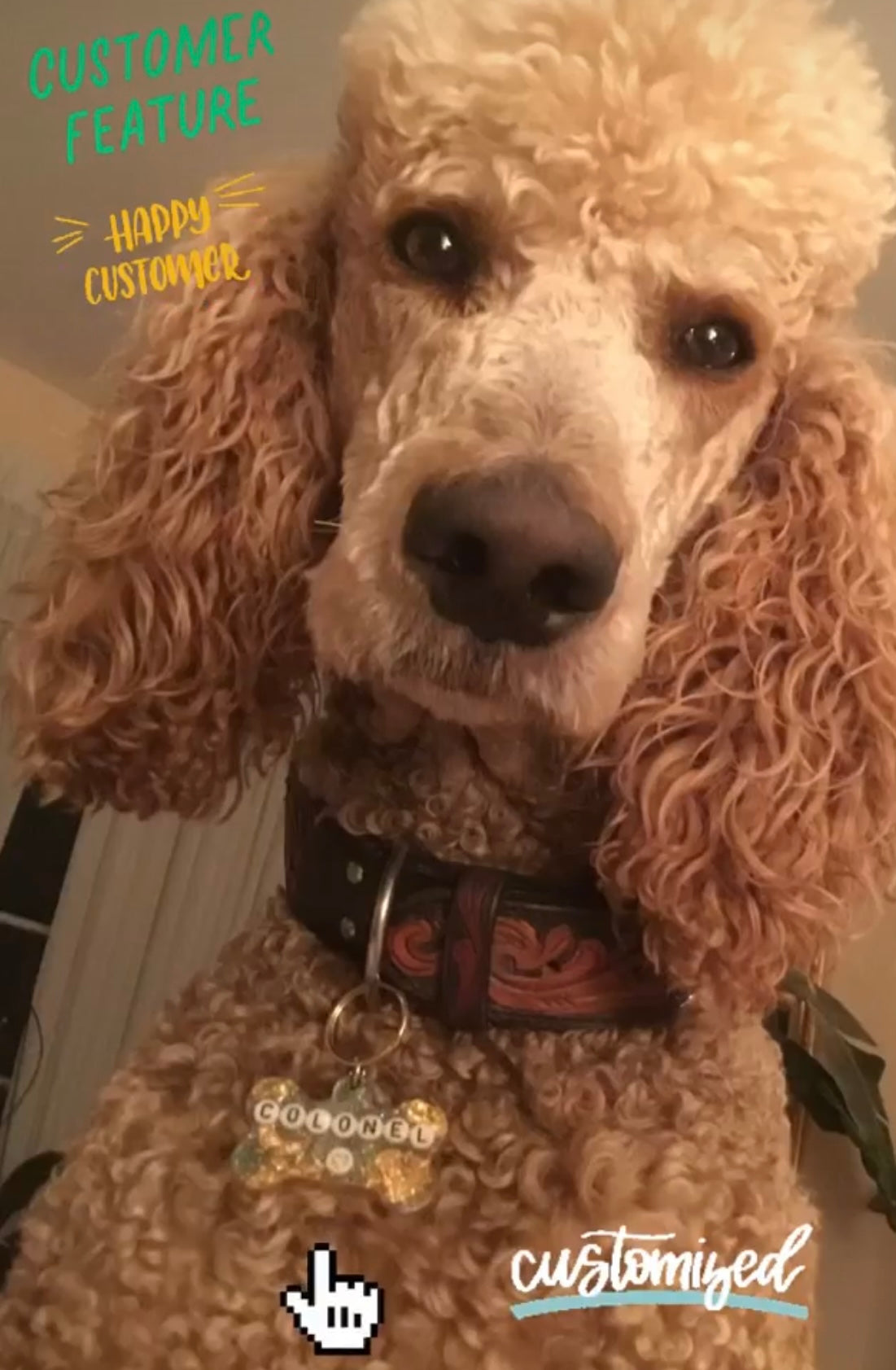 Resin Dog Tag - Custom