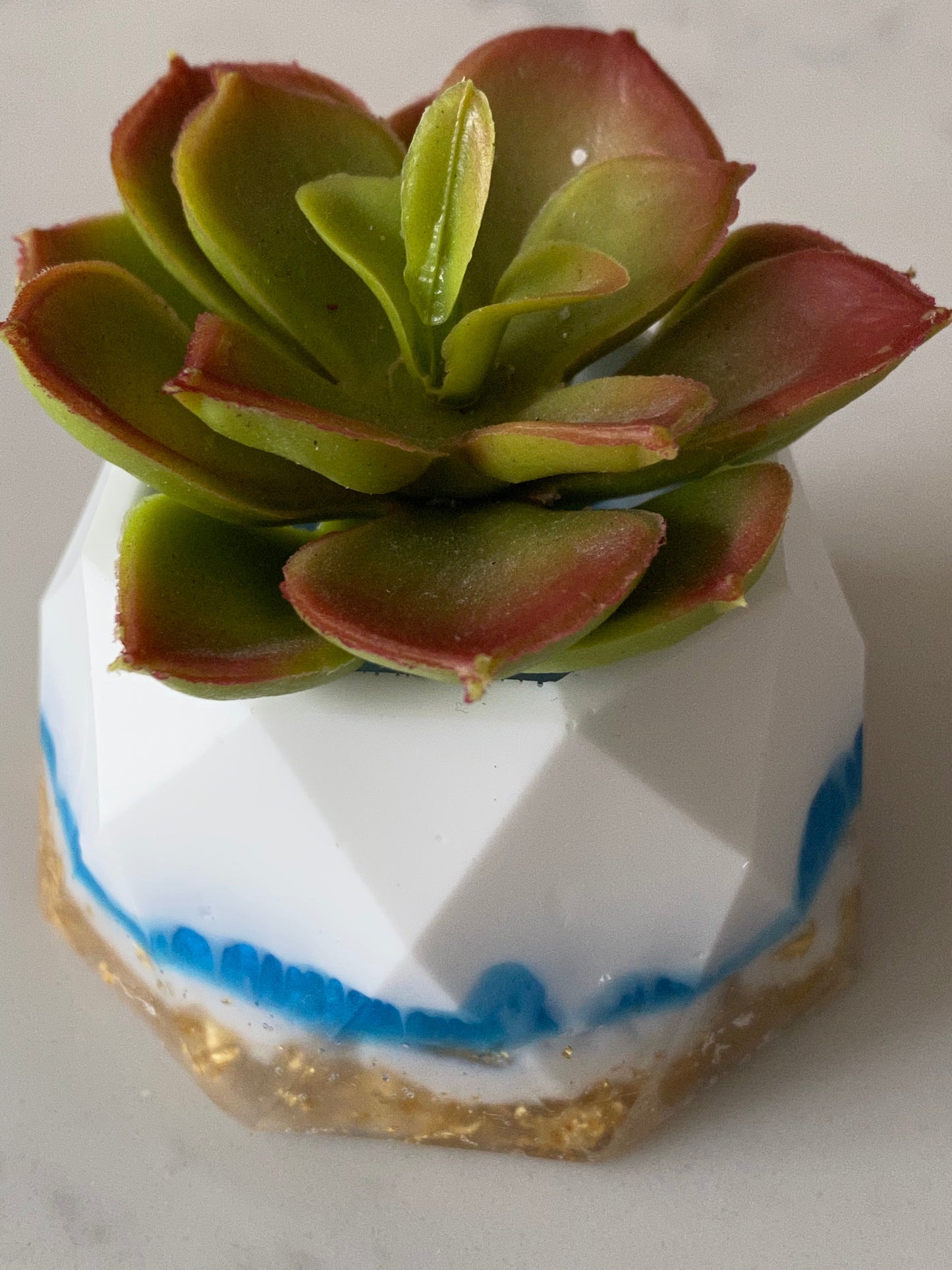 Mini geometric succulent holder