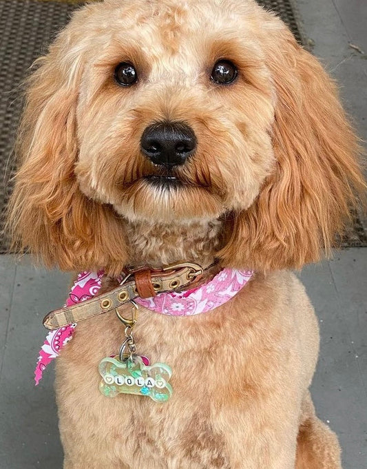 Resin Dog Tag - Custom